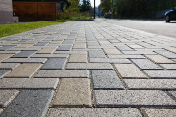 Best Professional Driveway Pavers  in Lake Dallas, TX